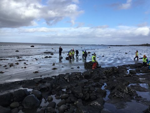 Vettvangsferð í Belgsholt - skólasamstarf