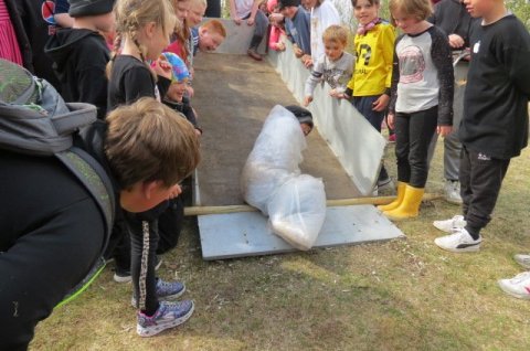 Survivordagur í Álfholtsskógi