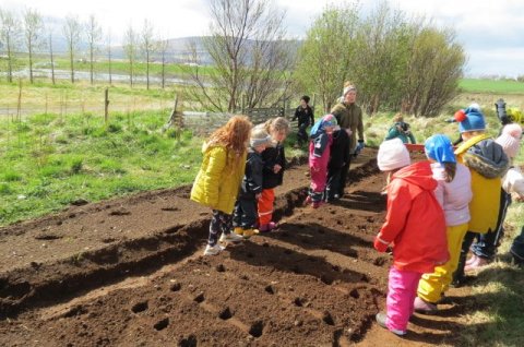 Gróðursetningardagur í Heiðarskóla